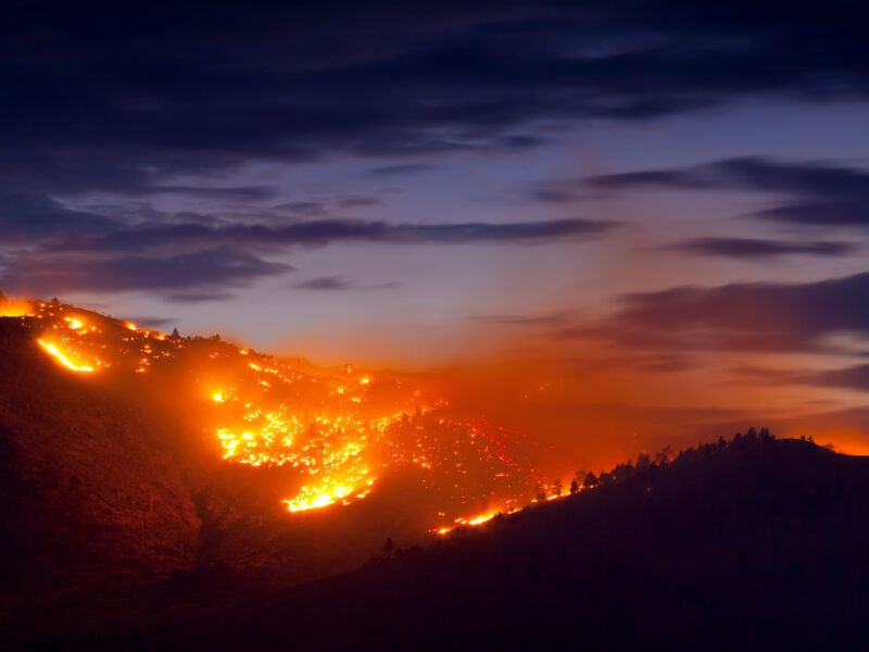 A forest wildfire spreads across a hillside under a dark, cloudy sky, glowing with bright orange flames. The distant horizon shows dim colors of sunset, contrasting with the dark silhouette of surrounding hills.