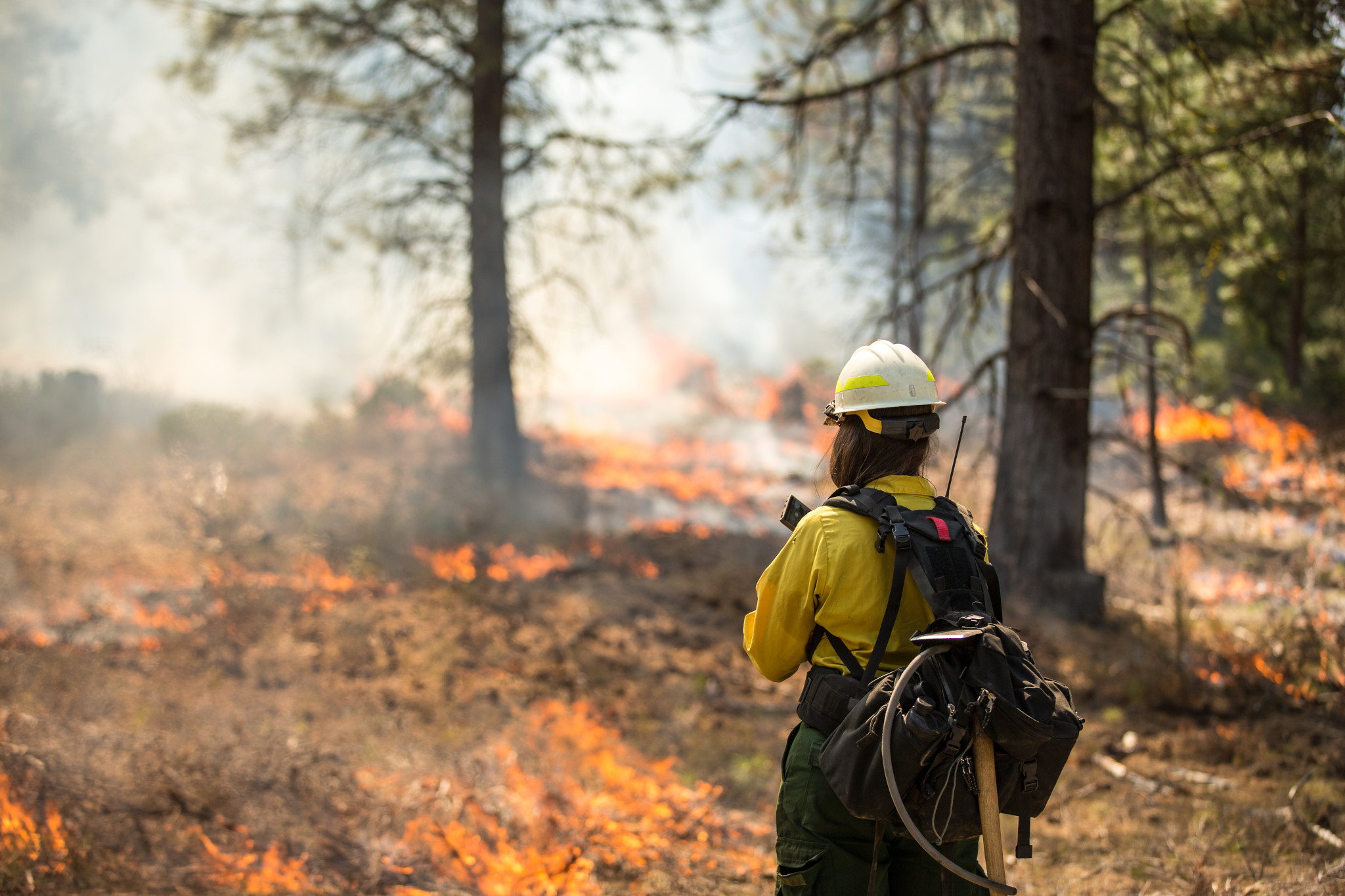 A firefighter in yellow protective gear stands in a forest, observing a controlled fire on the ground. Smoke rises among the trees, and the firefighter carries equipment on their back. Sunlight filters through the forest, highlighting the scene.