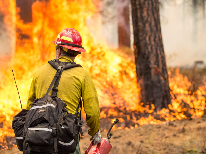 A firefighter in a red helmet and yellow jacket stands near a blazing forest fire, carrying a backpack and fire extinguisher. Tall trees are engulfed in flames, and smoke fills the air around the scene.